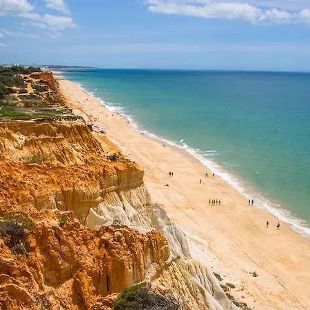 Amendoeiras I - Apartamento *